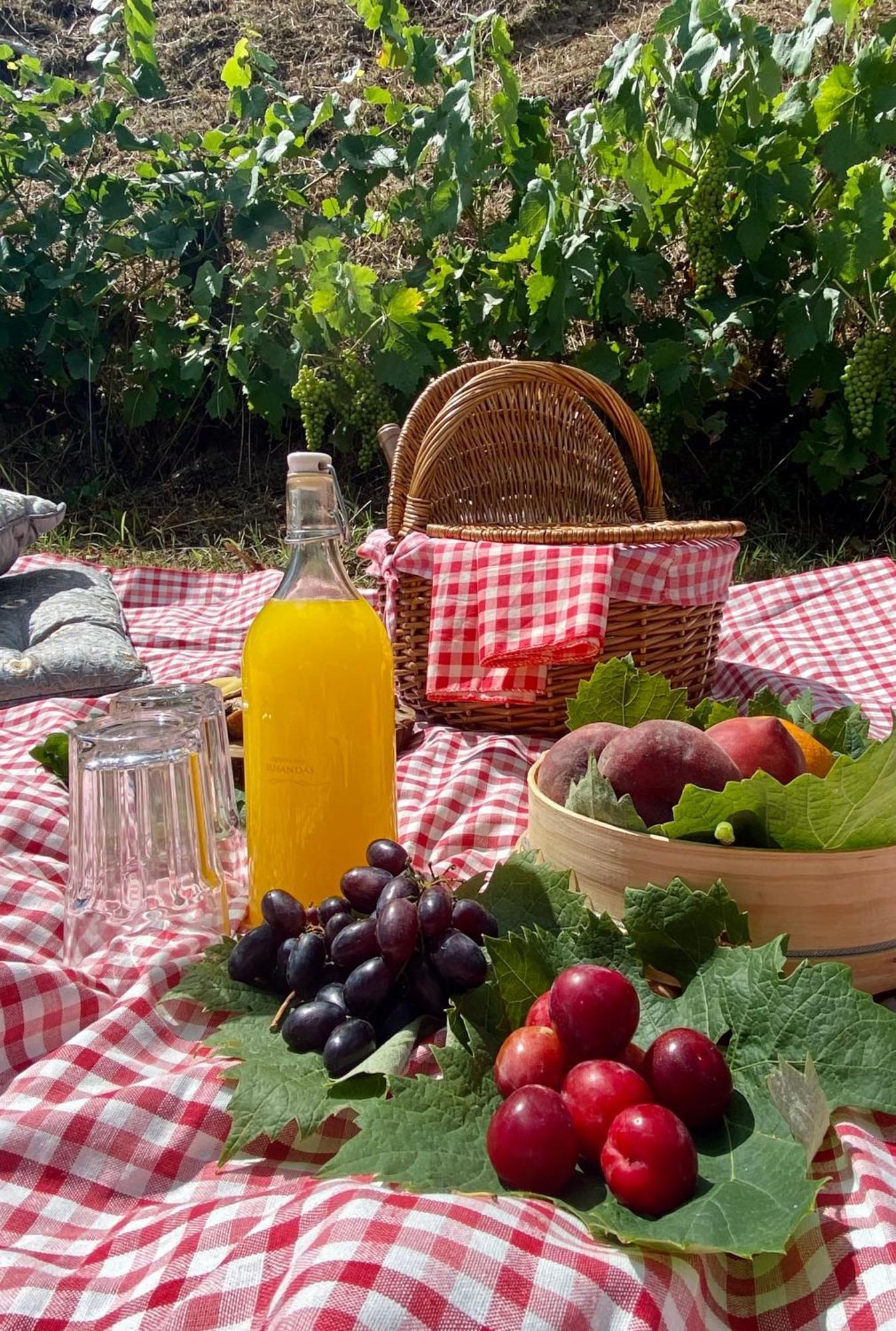 Private Douro- Quinta Das Susandas Mesão Frio Εξωτερικό φωτογραφία